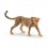 Schleich Gepard Hun 14746 | Naturtro Dyrefigur | Bakkeleg
