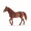 MORGAN MARE HEST 13870