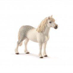 WELSH PONY HINGST 13871
