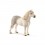 WELSH PONY HINGST 13871