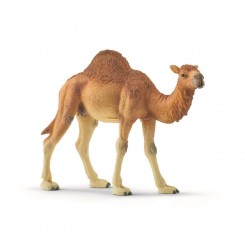 Schleich Dromedar 14832 – naturtro dromedarfigur med flotte detaljer.