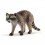 Schleich Vaskebjørn 14828 – naturtro dyrefigur med flotte detaljer.