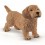 Schleich Gravhund 13891 | Naturtro Hundefigur | Bakkeleg