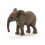 ELEFANT CALF 14763 skarp pris → Bakkeleg