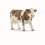 SIMMENTAL COW 13801