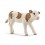 SIMMENTAL CALF 13802 skarp pris → Bakkeleg