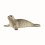 Schleich Sæl 14801 | Naturtro Dyrefigur | Bakkeleg