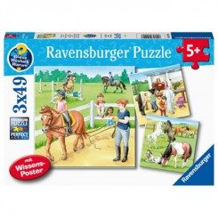 PUSLESPIL 3X49BRIK EN DAG I STALDEN