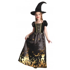 Deluxe Guldheks kostume med flot kjole med guldtryk og matchende heksehat.
