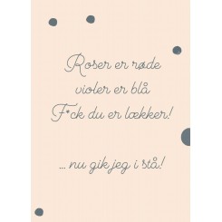 ROSER ER RØDE, VIOLER ER BLÅ A5