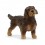 SCHLEICH RUHÅRET GRAVHUND 13972