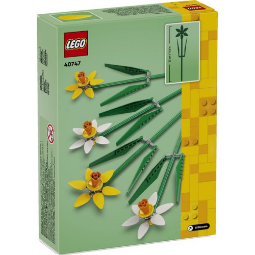 40747 PÅSKELILJER