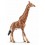 GIRAF HAN 14749  skarp pris → Bakkeleg