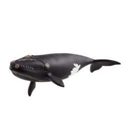 Schleich nordatlantiske højrehval 14878 SCHLEICH