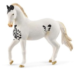 SCHEILCH MARWARI STALLION HEST 14898