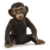 CHIMPANSE UNGE 14884 skarp pris → Bakkeleg