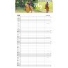 FAMILYPLAN ÅRSKALENDER 2026 MINI 3 PERSONER 2684