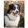 VÆGKALENDER HUNDE 2026