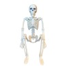 Halloween skelet dekoration, MAGNI