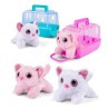 KAT I CARRY BOX 63419