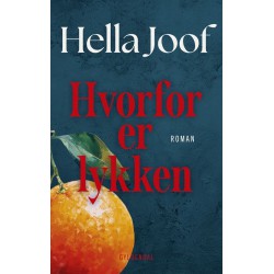 Hvorfor er Lykken af Hella Joof – roman om livets op- og nedture.