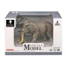 Elefant