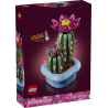 11509 Blomstrende kaktus Skarp pris → Bakkeleg