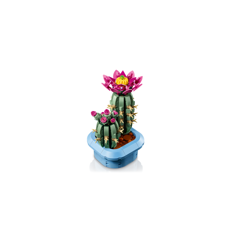 11509 Blomstrende kaktus Skarp pris → Bakkeleg