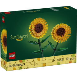 40524 Solsikker
