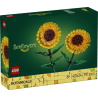 40524 Solsikker