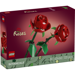 40460 Roser