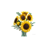 LEGO Botanicals 11502 solsikkebuket | Dekorativt sæt | Bakkeleg
