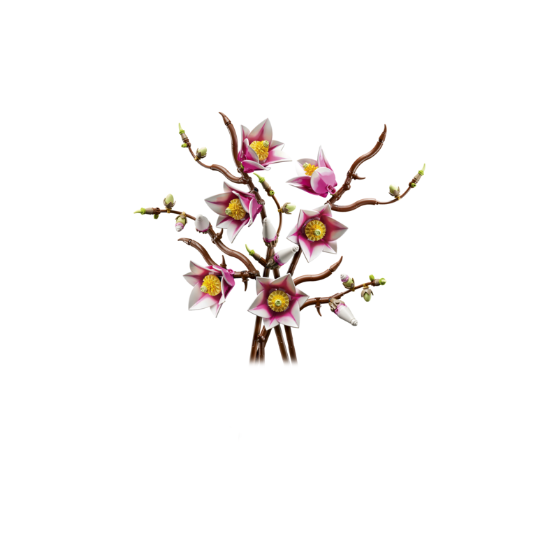 Magnolia-grene 11510