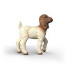 Schleich Boer-Ged kid 14930 Skarp Pris → Bakkeleg