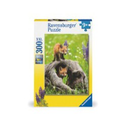 Curious Foxes 300p Oplev den perfekte pasform!