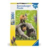 Curious Foxes 300p Oplev den perfekte pasform!