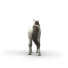 Schleich Knabstrupper Vallak 14916 Skarp Pris → Bakkeleg