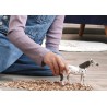Schleich Knabstrupper Vallak 14916 Skarp Pris → Bakkeleg