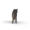 Schleich Amerikansk Ulv 14991 Skarp Pris → Bakkeleg
