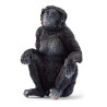 Schleich Bonobo Hun Abe 14875 Skarp Pris → Bakkeleg