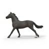 Schleich Engelsk Fuldblodshoppe 14914 Skarp Pris → Bakkeleg